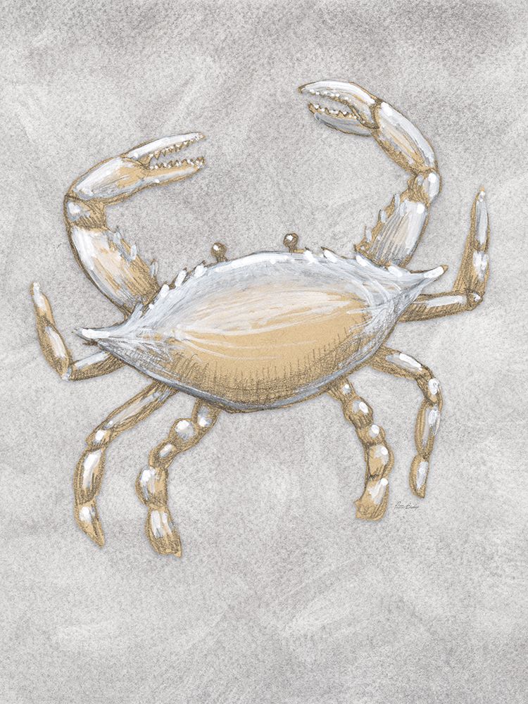 Drawing Crab 1 Gray art print by Patti Bishop for $57.95 CAD