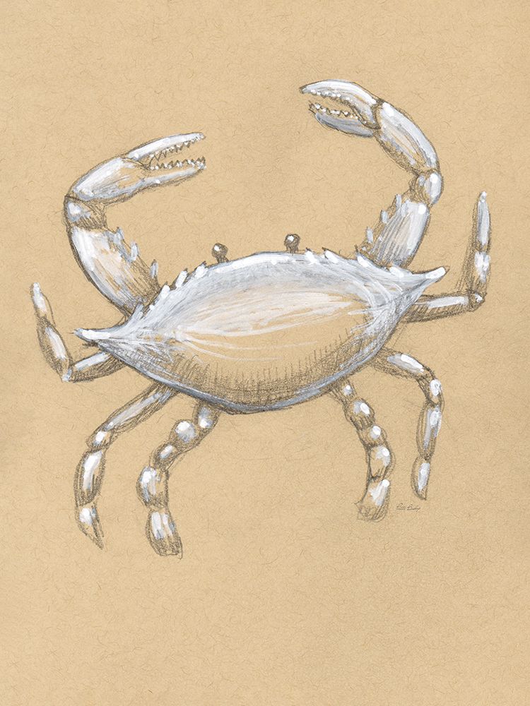 Drawing Crab 1 art print by Patti Bishop for $57.95 CAD