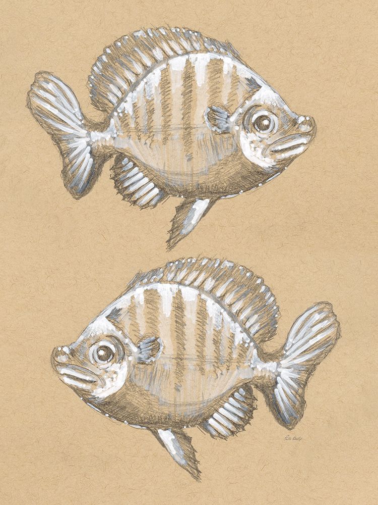 Fish Drawing 1 art print by Patti Bishop for $57.95 CAD