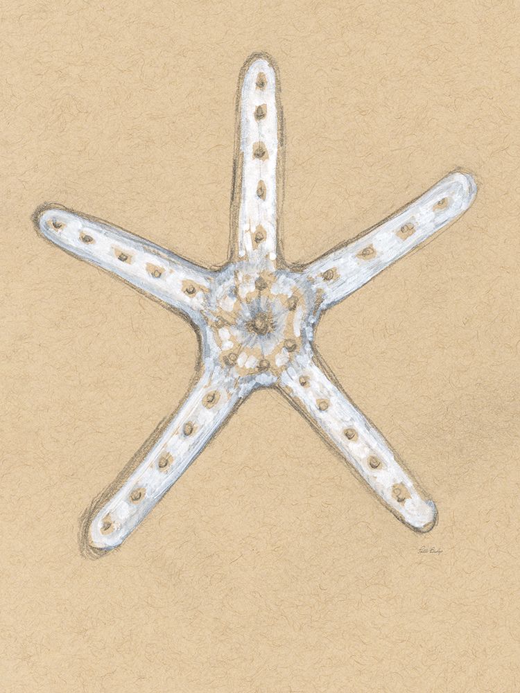 Starfish Thin Drawing art print by Patti Bishop for $57.95 CAD