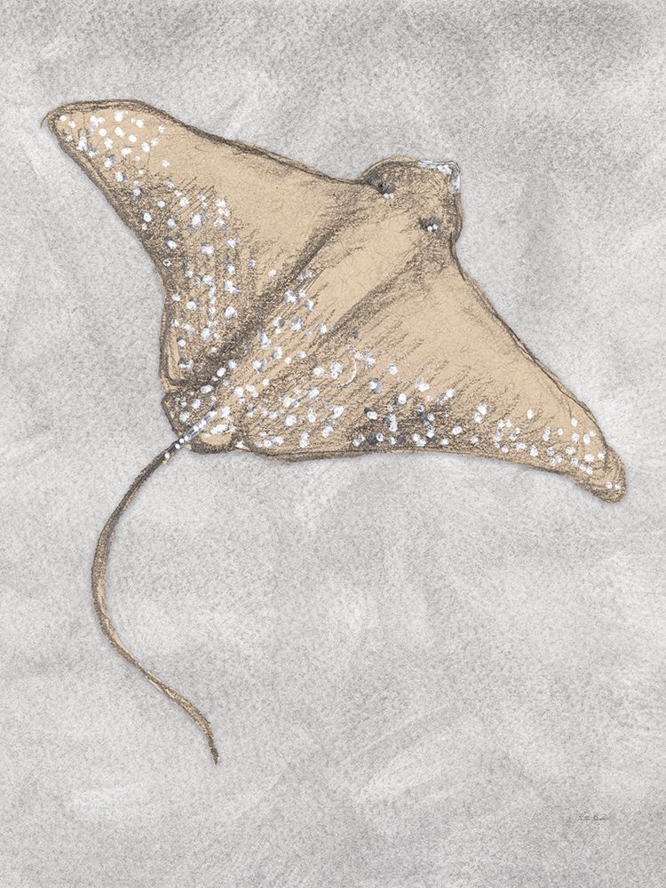 Sting Ray Drawing Gray art print by Patti Bishop for $57.95 CAD