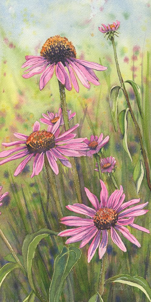 Cone Flower Trio 1 art print by Patti Bishop for $57.95 CAD