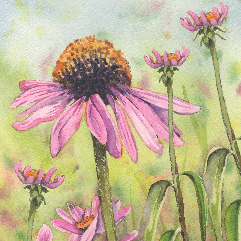 Cone Flowers Trio 5 art print by Patti Bishop for $57.95 CAD