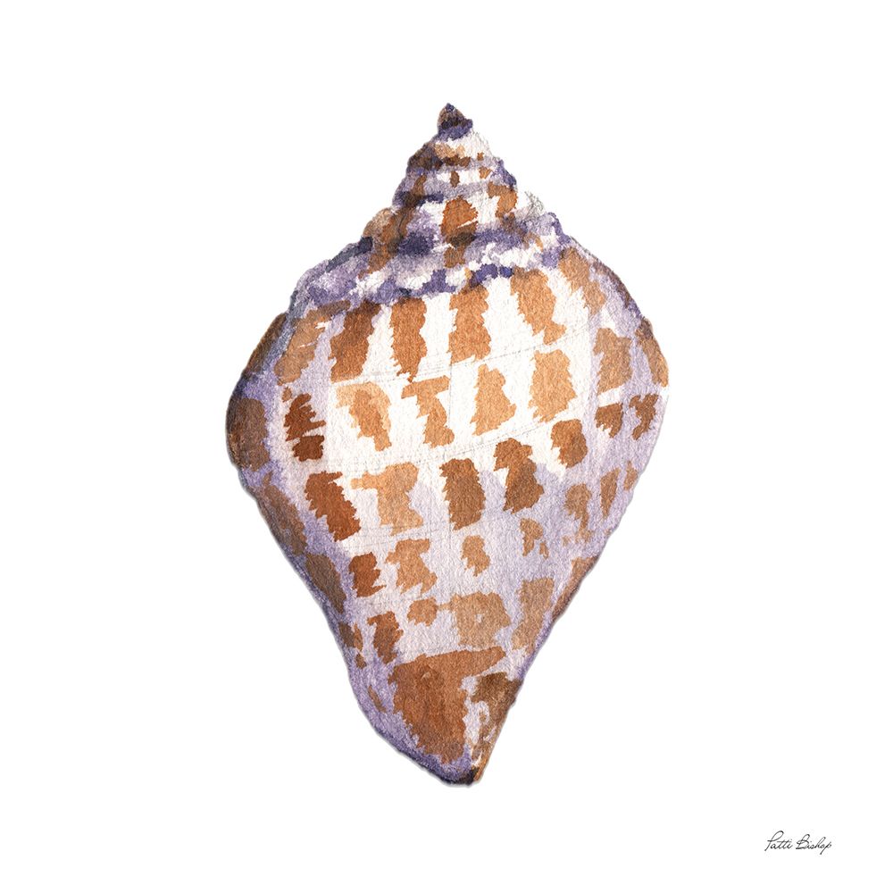 Tan Shell Scotch art print by Patti Bishop for $57.95 CAD