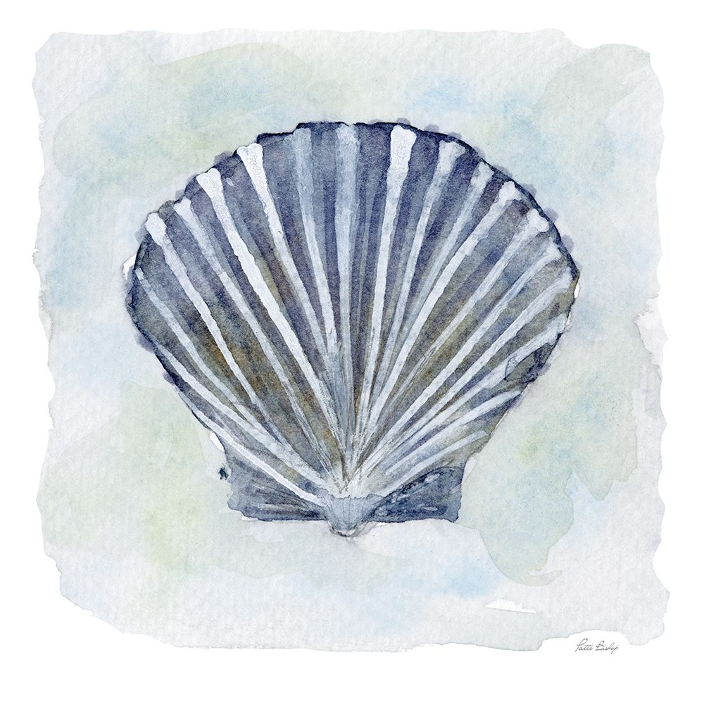 Blue Scallop 2 art print by Patti Bishop for $57.95 CAD