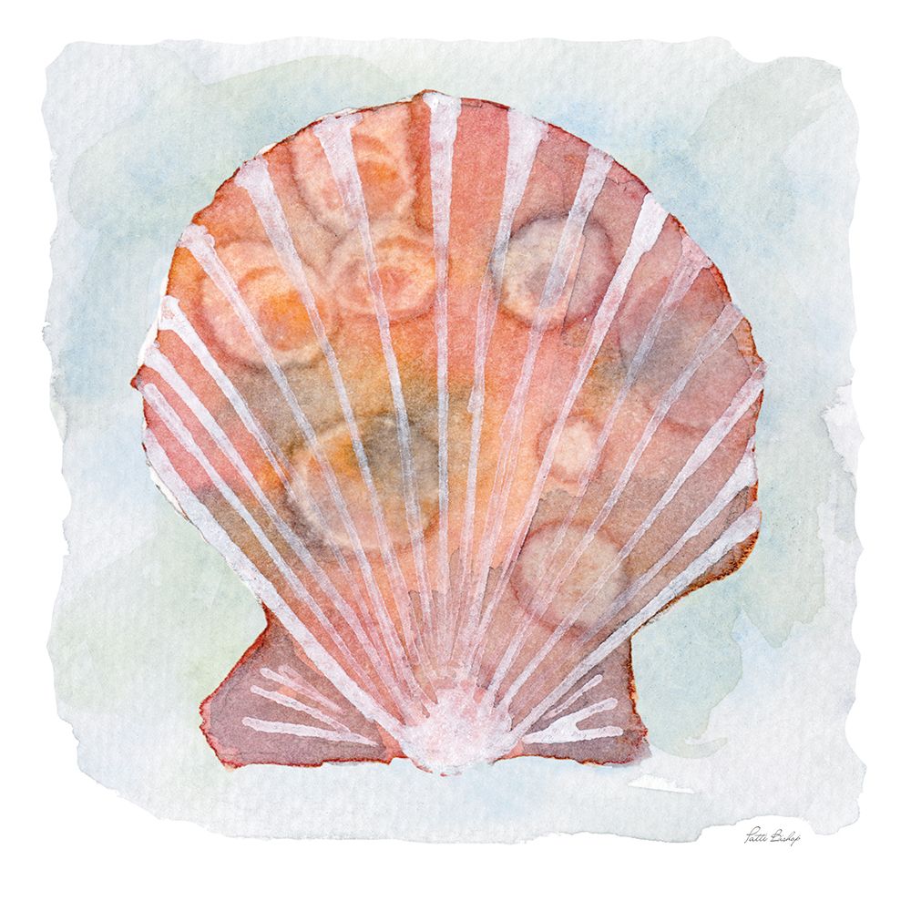 Peach White Scallop 2 art print by Patti Bishop for $57.95 CAD