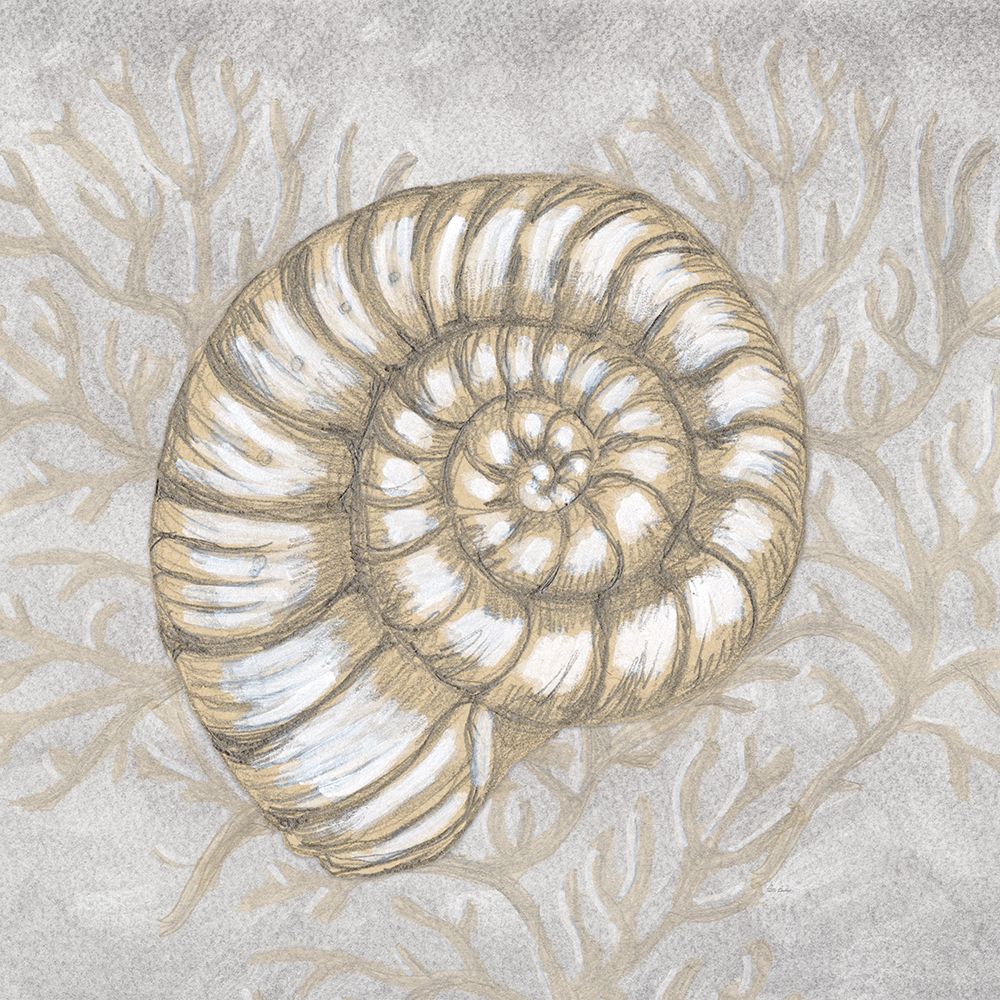 Drawing Nautical Spiral Shell art print by Patti Bishop for $57.95 CAD