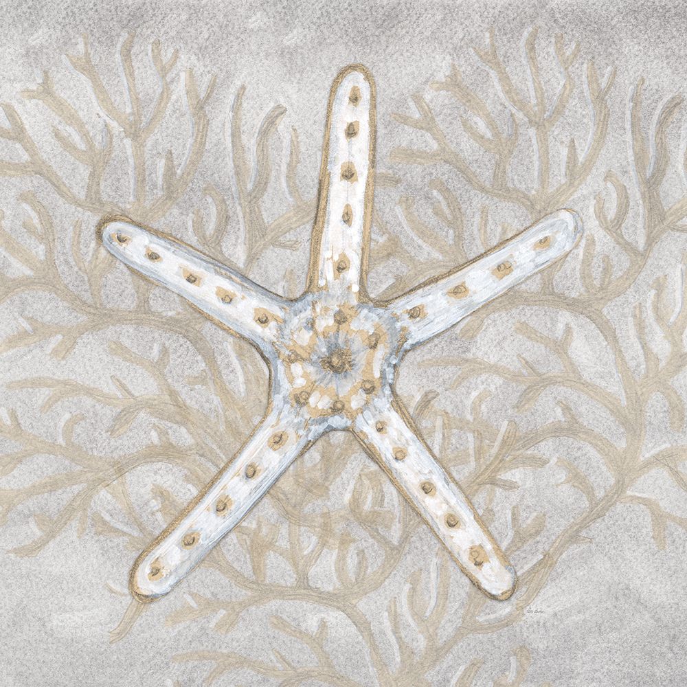 Drawing Nautical Starfish art print by Patti Bishop for $57.95 CAD