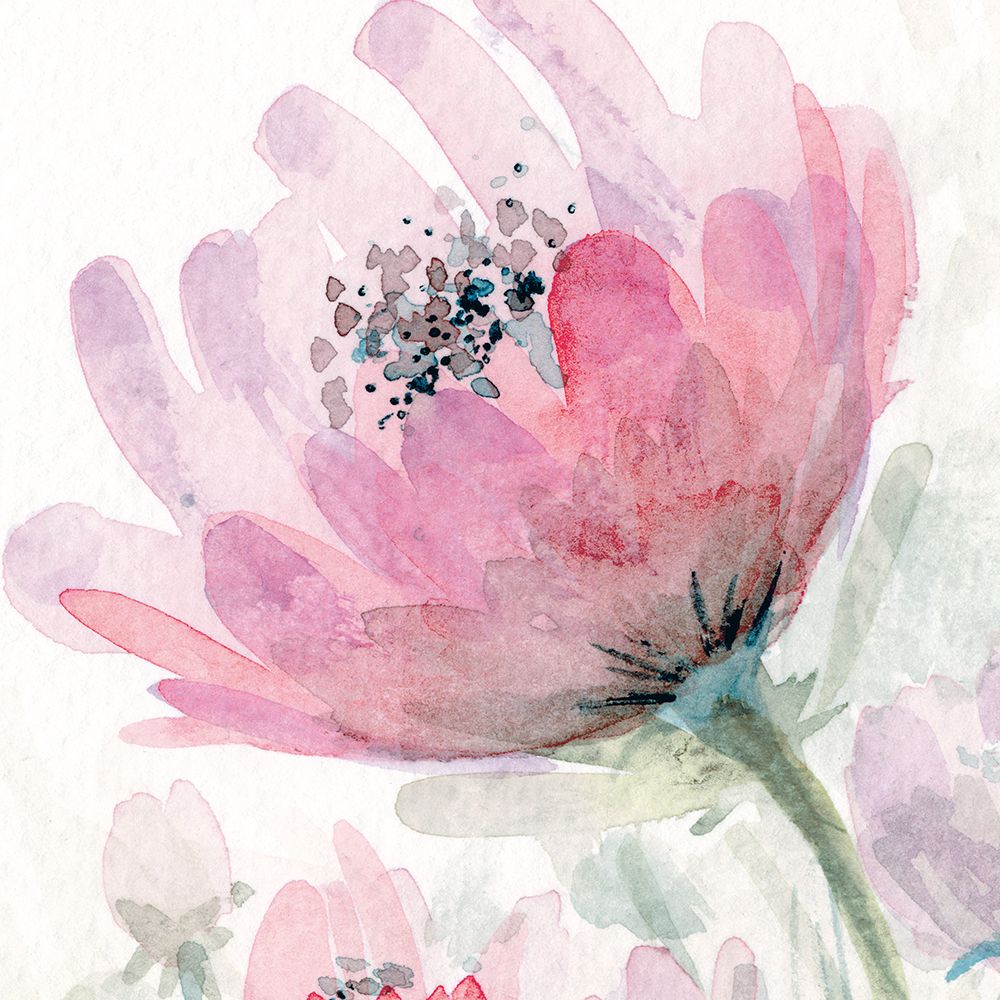 Pink Flower 2 art print by Patti Bishop for $57.95 CAD