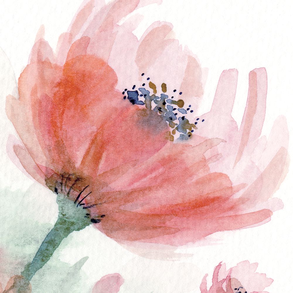 Coral Pink Flower 1 art print by Patti Bishop for $57.95 CAD