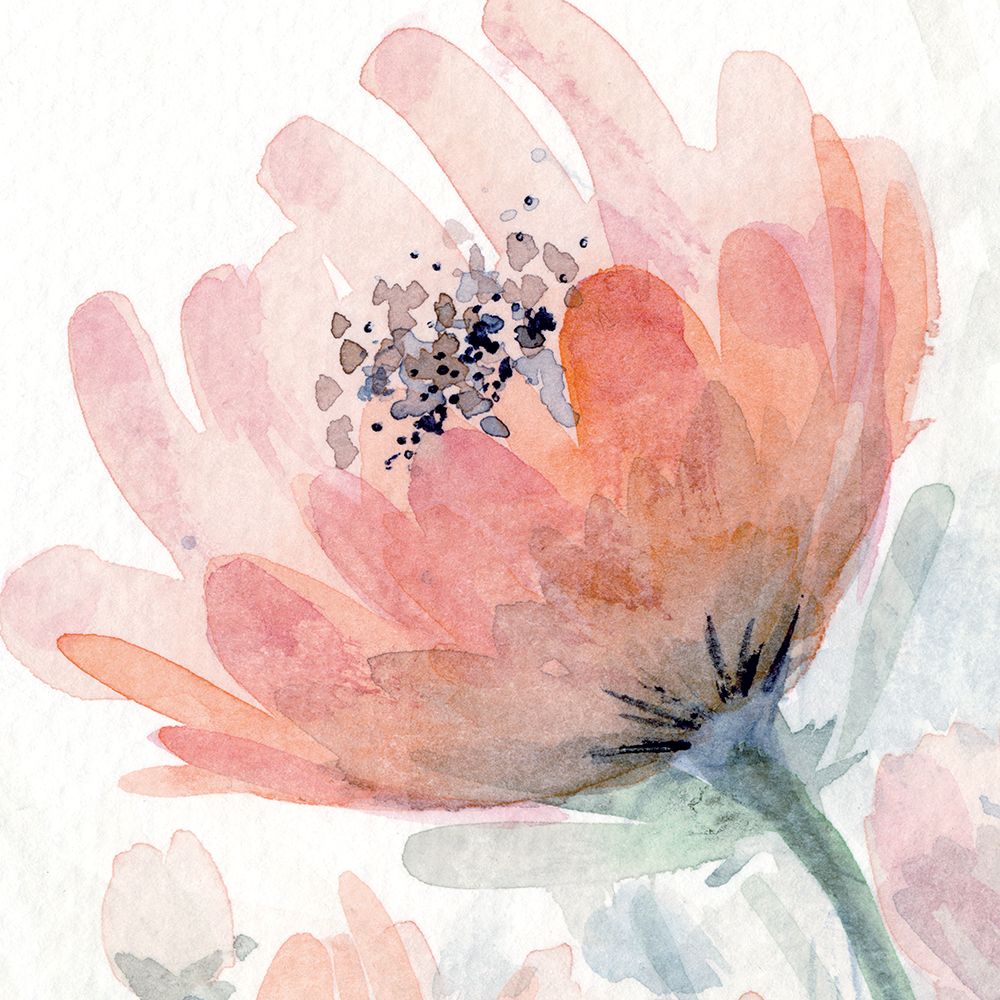 Coral  Pink Flower 2 art print by Patti Bishop for $57.95 CAD
