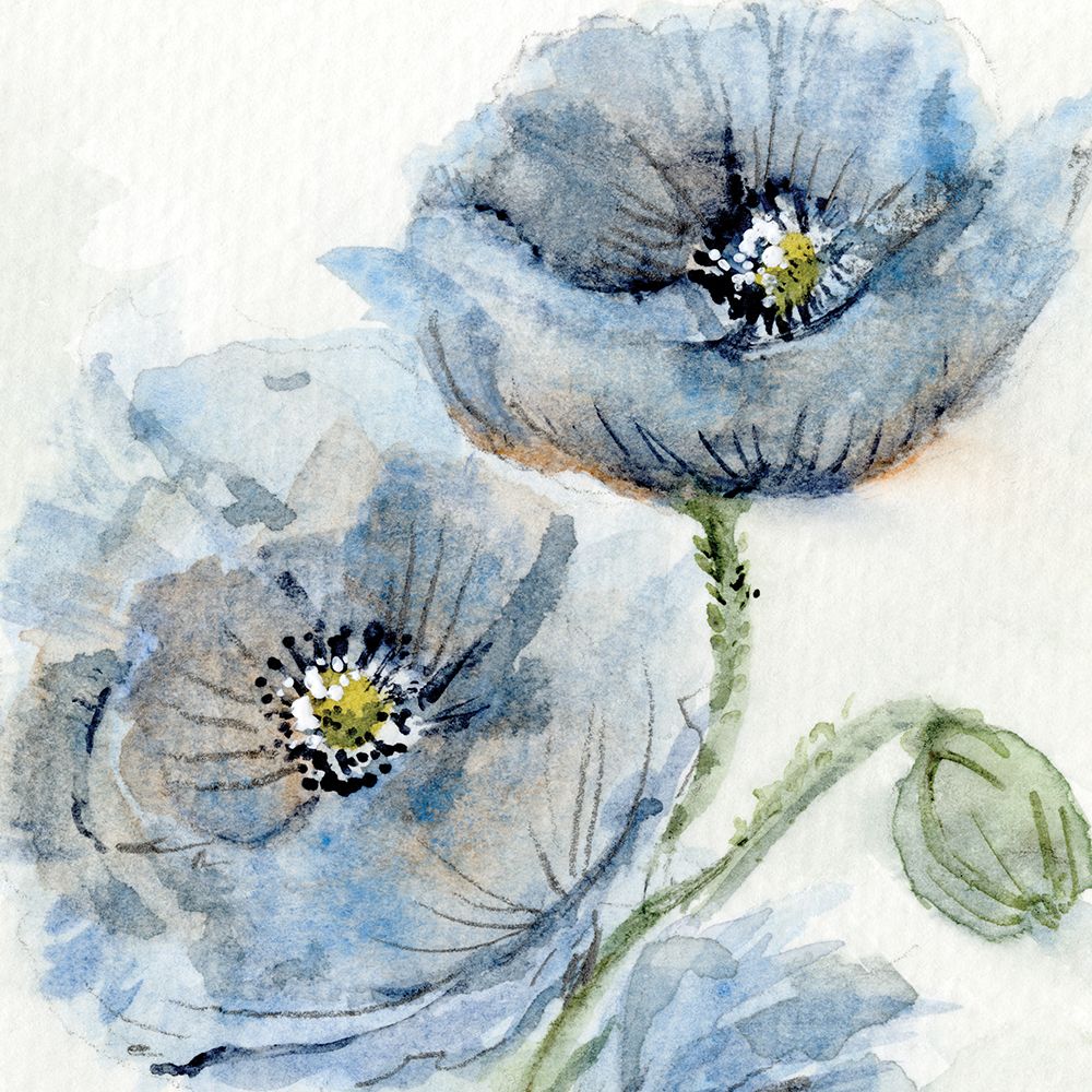 Blue Poppy 1 art print by Patti Bishop for $57.95 CAD