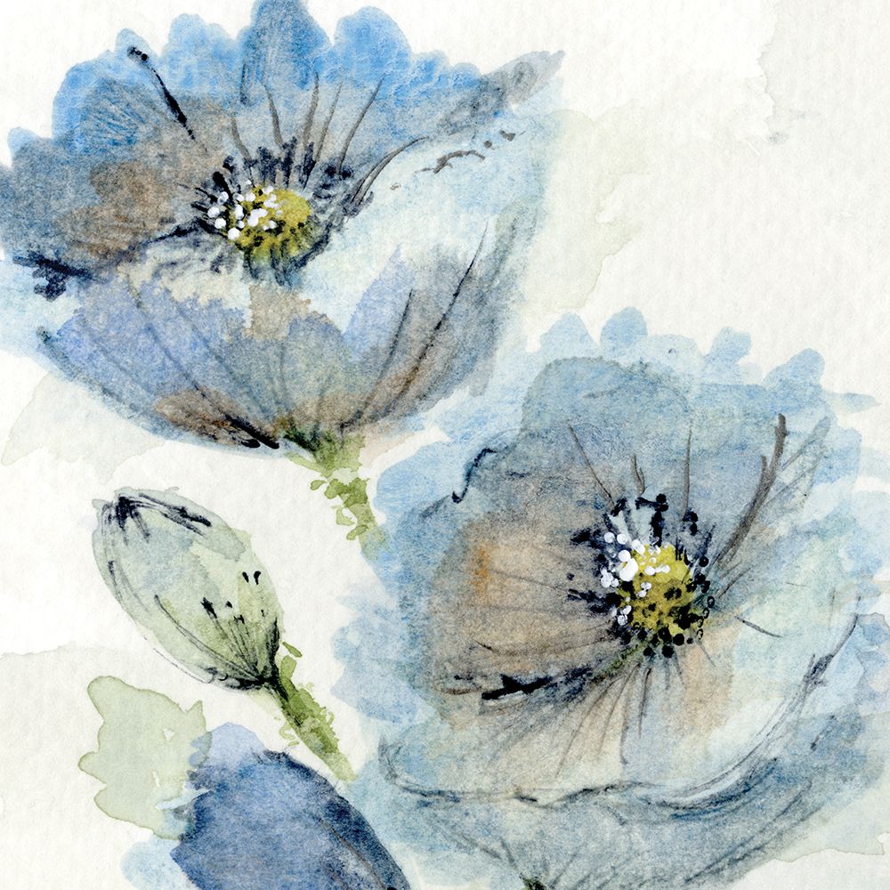 Blue Poppy 2 art print by Patti Bishop for $57.95 CAD