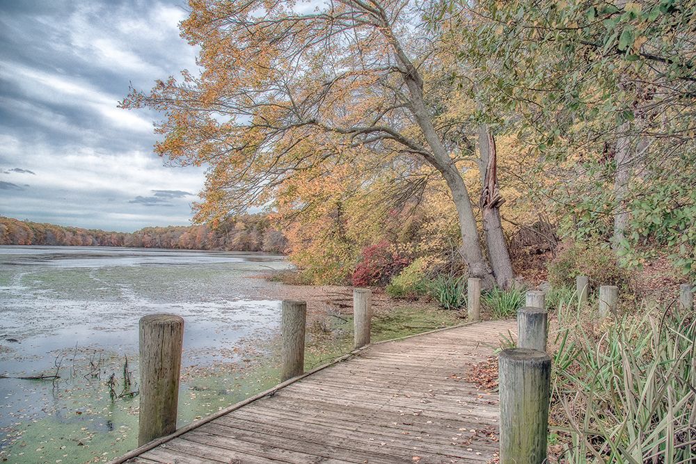 Blydenburg Park art print by Pat DeLuca for $57.95 CAD
