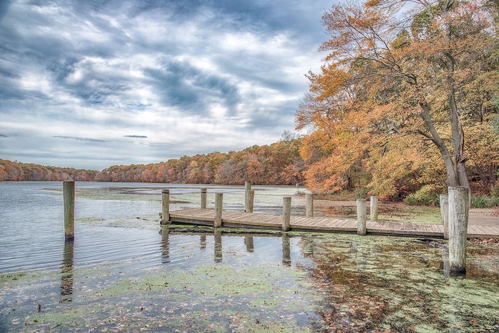 Blydenburg Park 2 art print by Pat DeLuca for $57.95 CAD