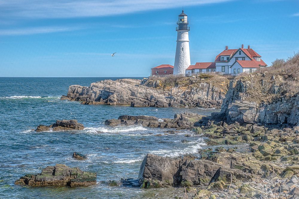 Portland Head LightHouse art print by Pat DeLuca for $57.95 CAD