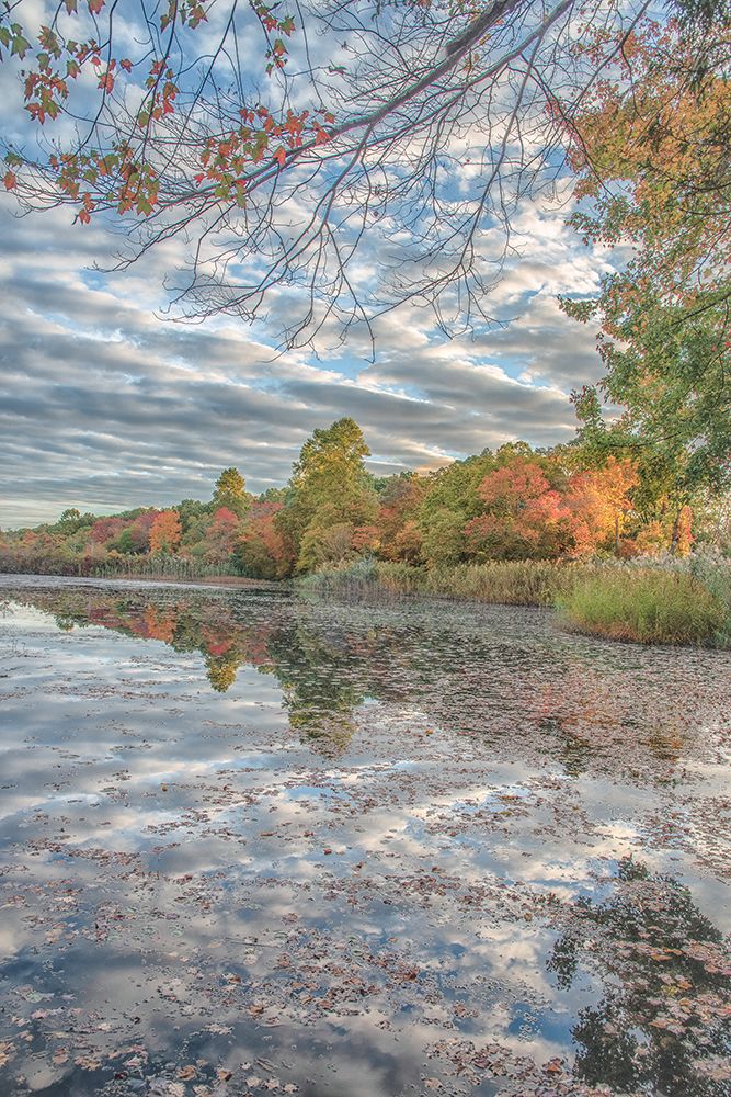Bayport Fall art print by Pat DeLuca for $57.95 CAD
