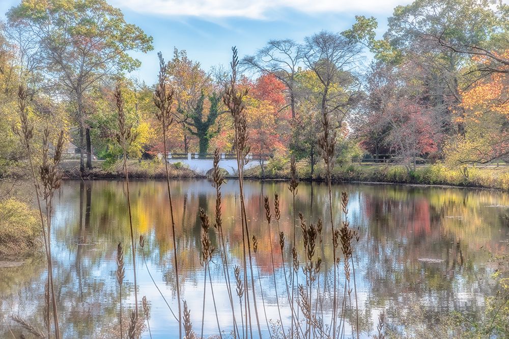 Bayshore art print by Pat DeLuca for $57.95 CAD
