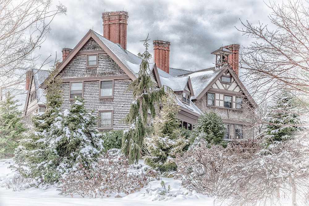 Aboretum December 1 art print by Pat DeLuca for $57.95 CAD