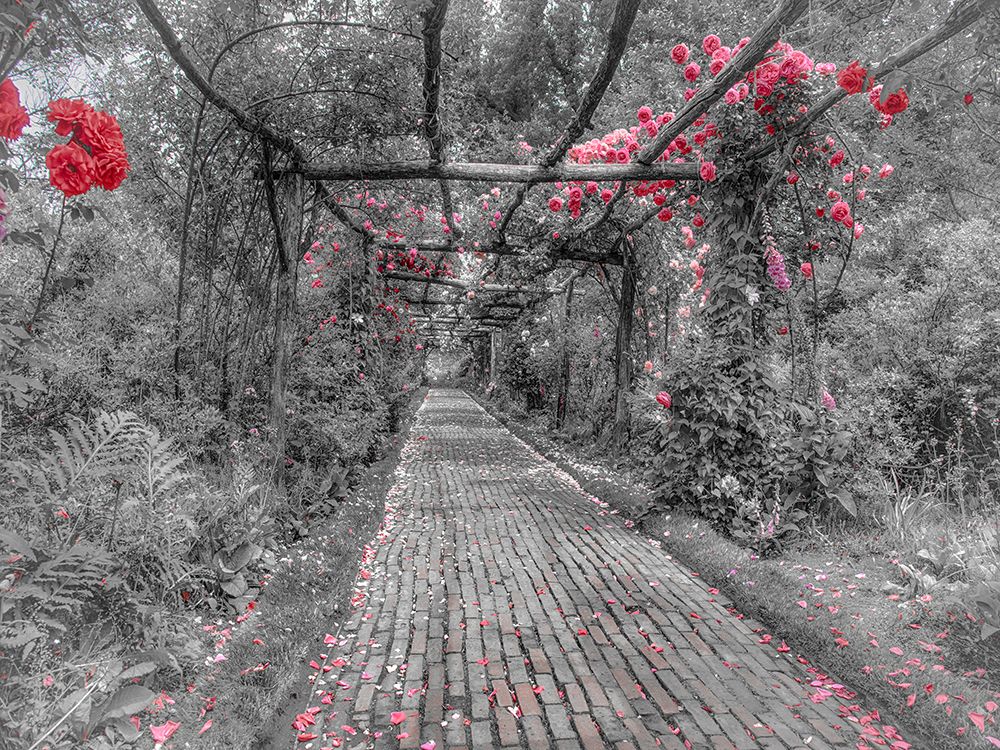 A Peaceful Pathway art print by Pat DeLuca for $57.95 CAD