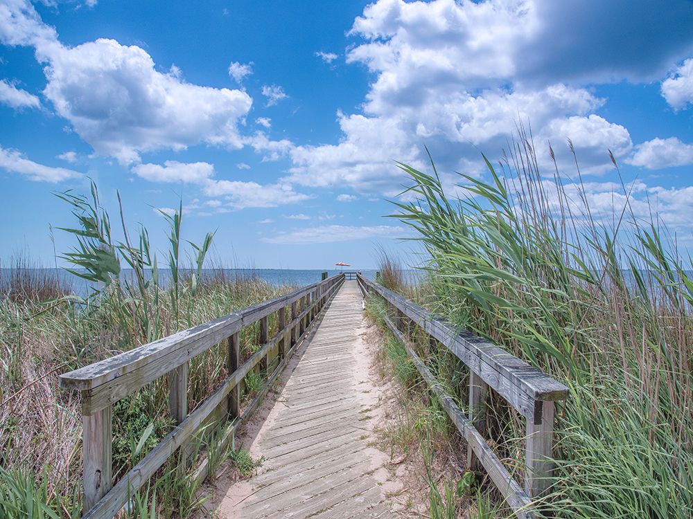 Along the Walkway art print by Pat DeLuca for $57.95 CAD