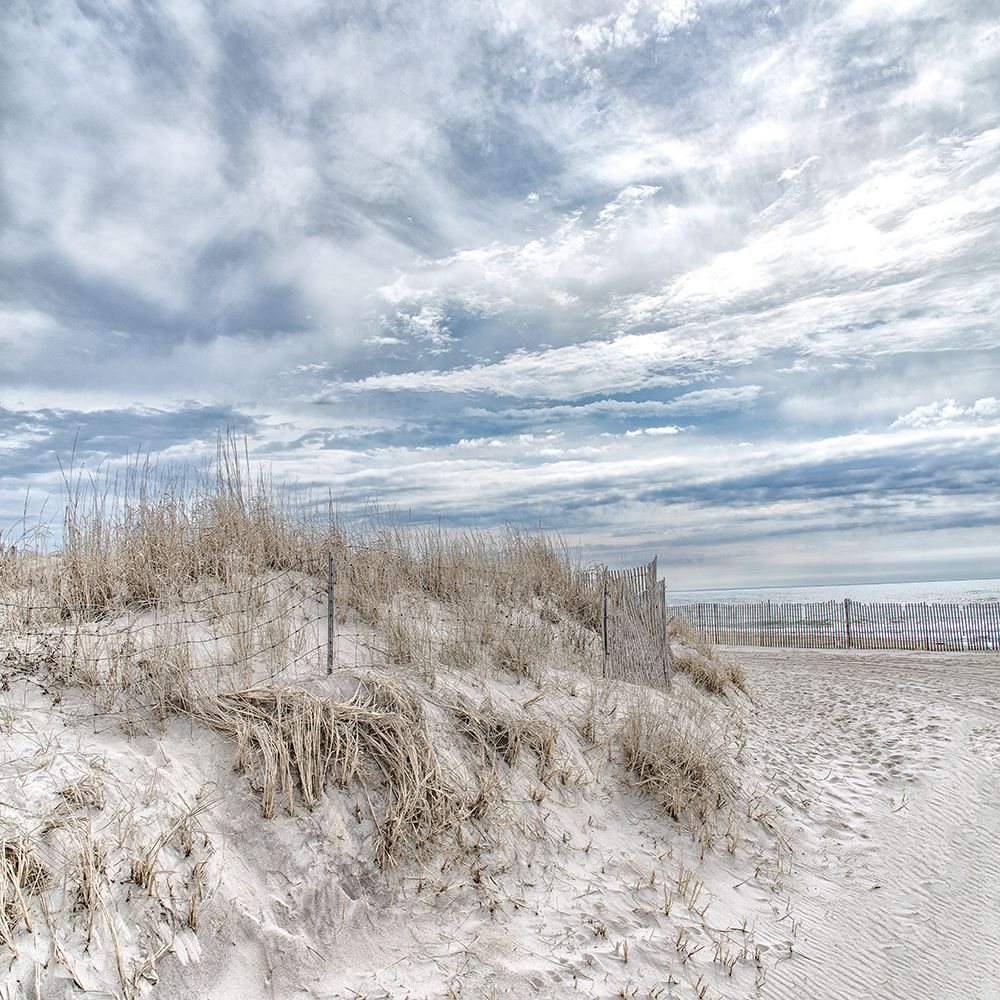 Lighthouse Beach art print by Pat DeLuca for $57.95 CAD