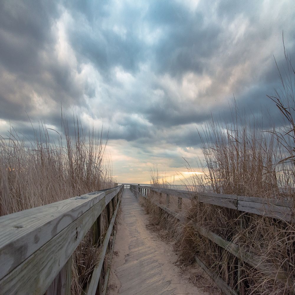 Sunset art print by Pat DeLuca for $57.95 CAD