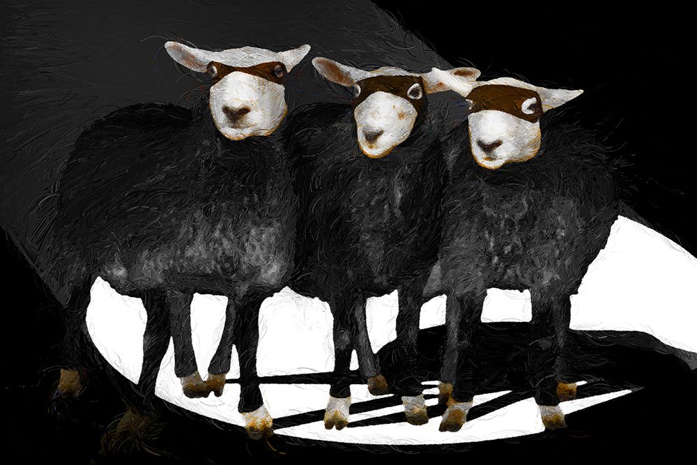 Ninja Sheep art print by Porter Hastings for $57.95 CAD
