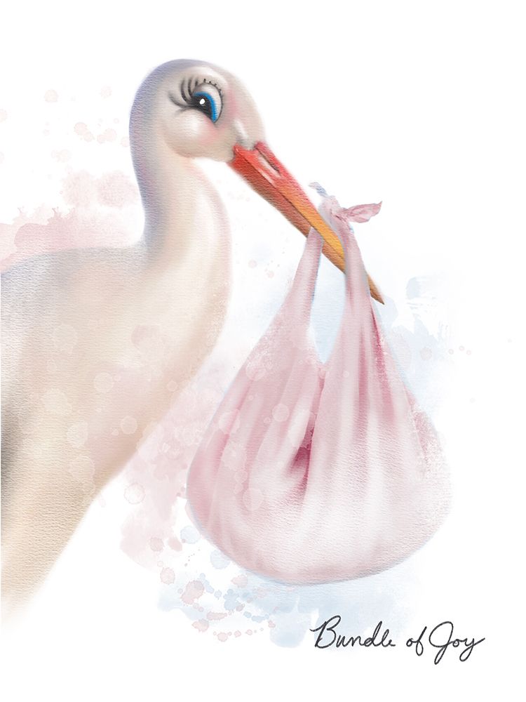 Baby Stork Pink art print by Matthew Piotrowicz for $57.95 CAD