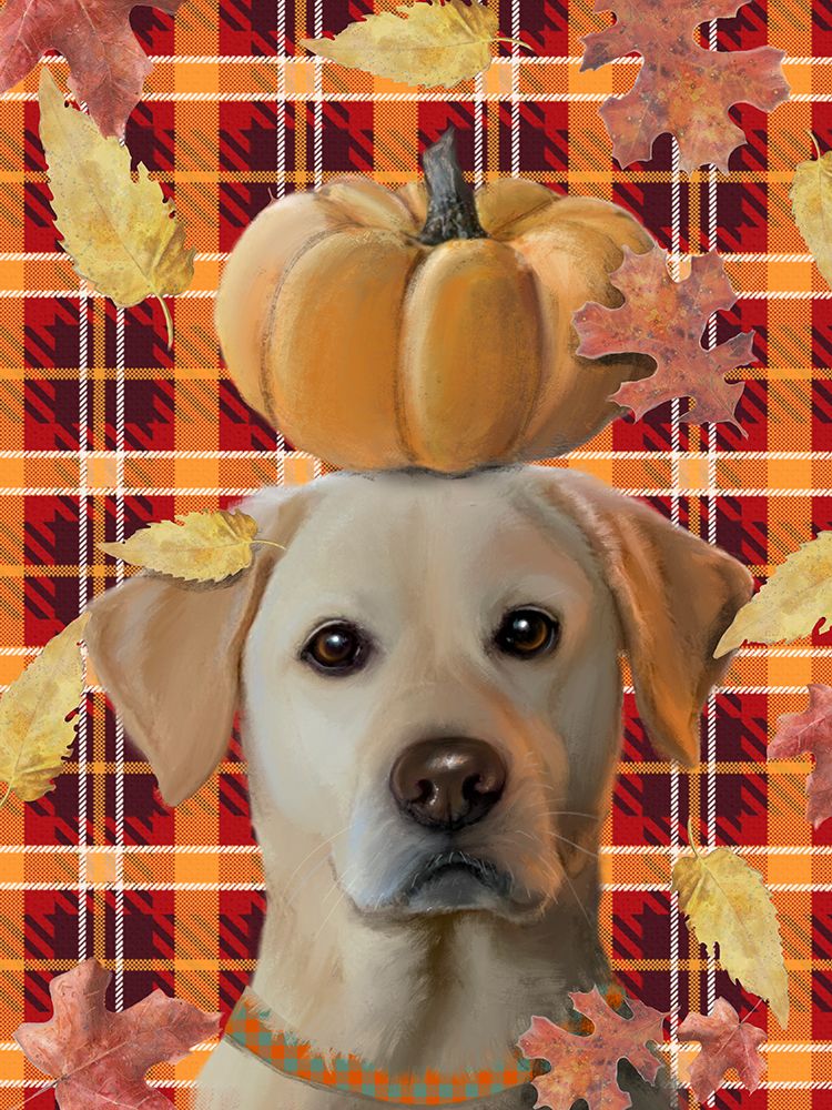 Lab Pumpkin Head art print by Matthew Piotrowicz for $57.95 CAD