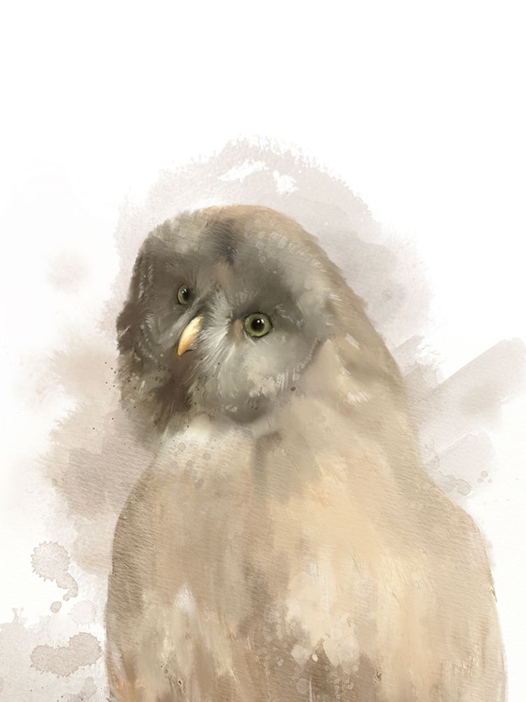 Animal Owl art print by Matthew Piotrowicz for $57.95 CAD