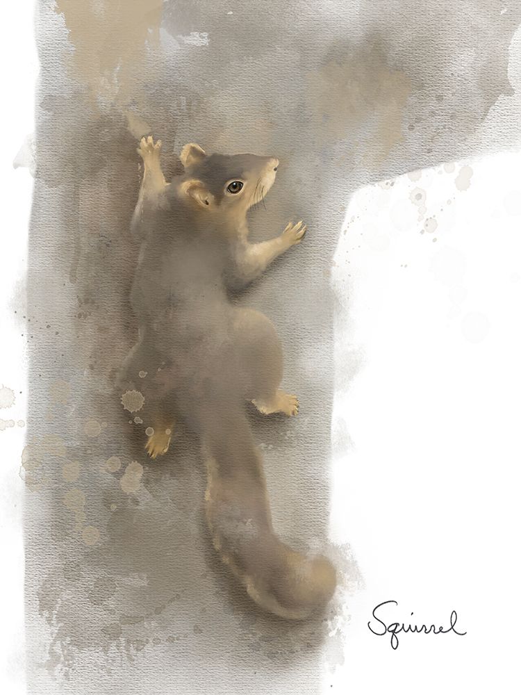 Animal Woodland Squirrel art print by Matthew Piotrowicz for $57.95 CAD