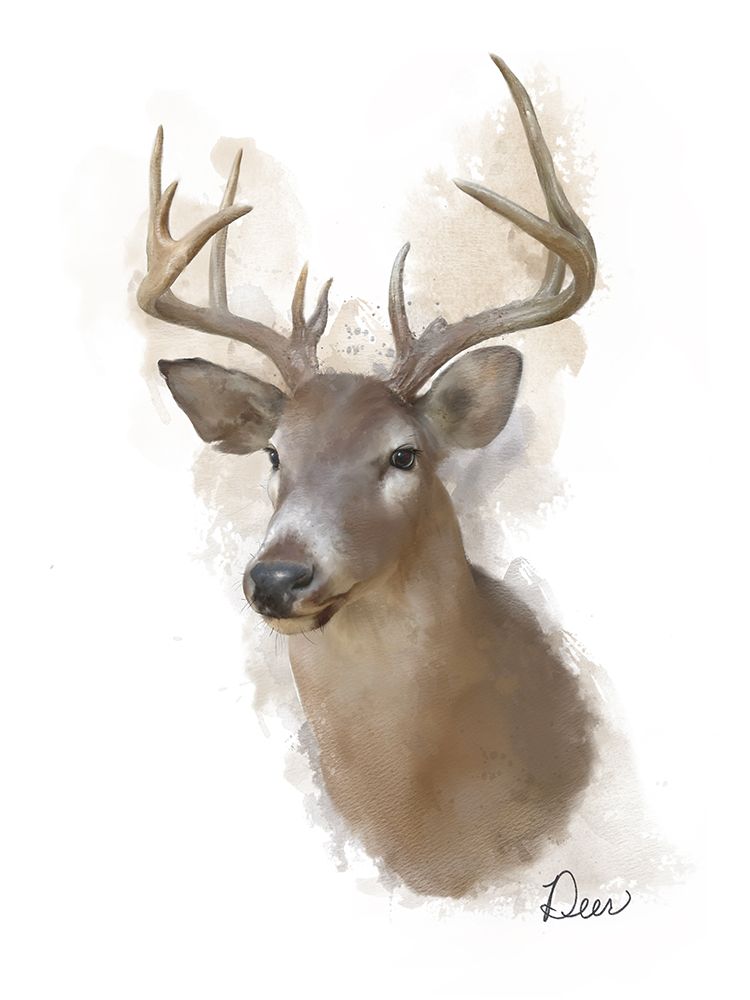 Animal Woodland Deer art print by Matthew Piotrowicz for $57.95 CAD