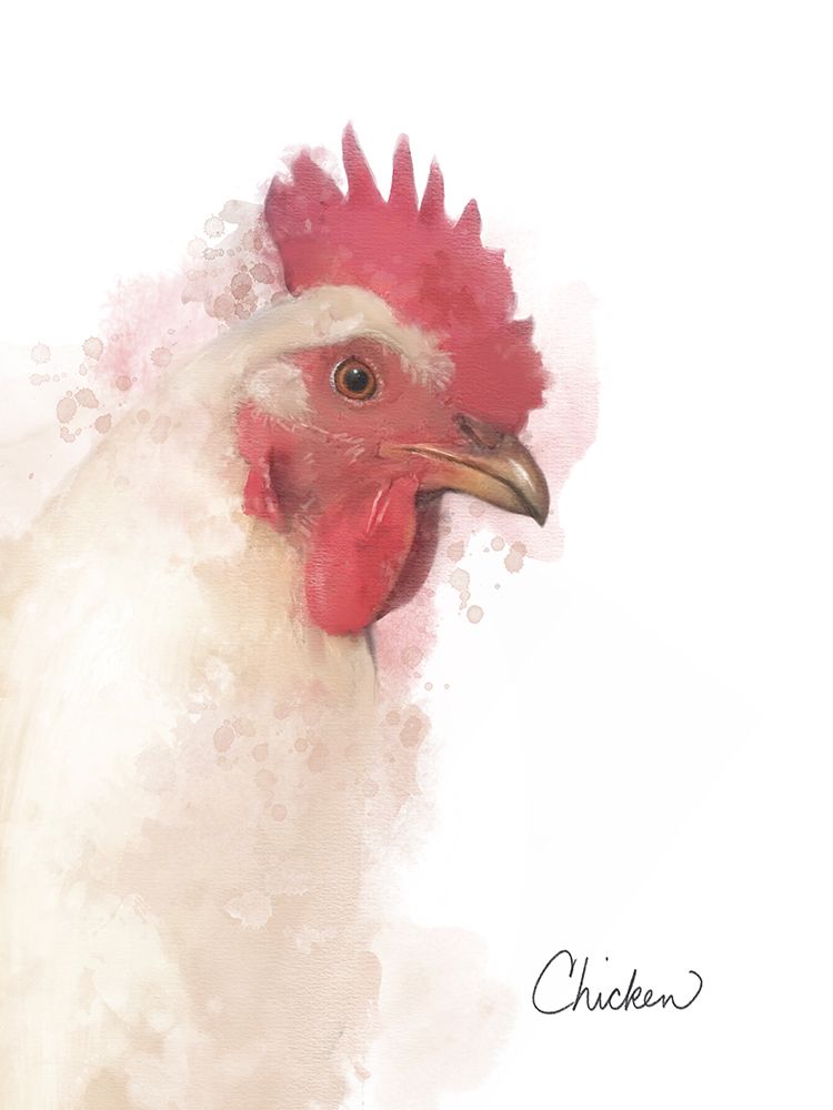 Farm Chicken art print by Matthew Piotrowicz for $57.95 CAD