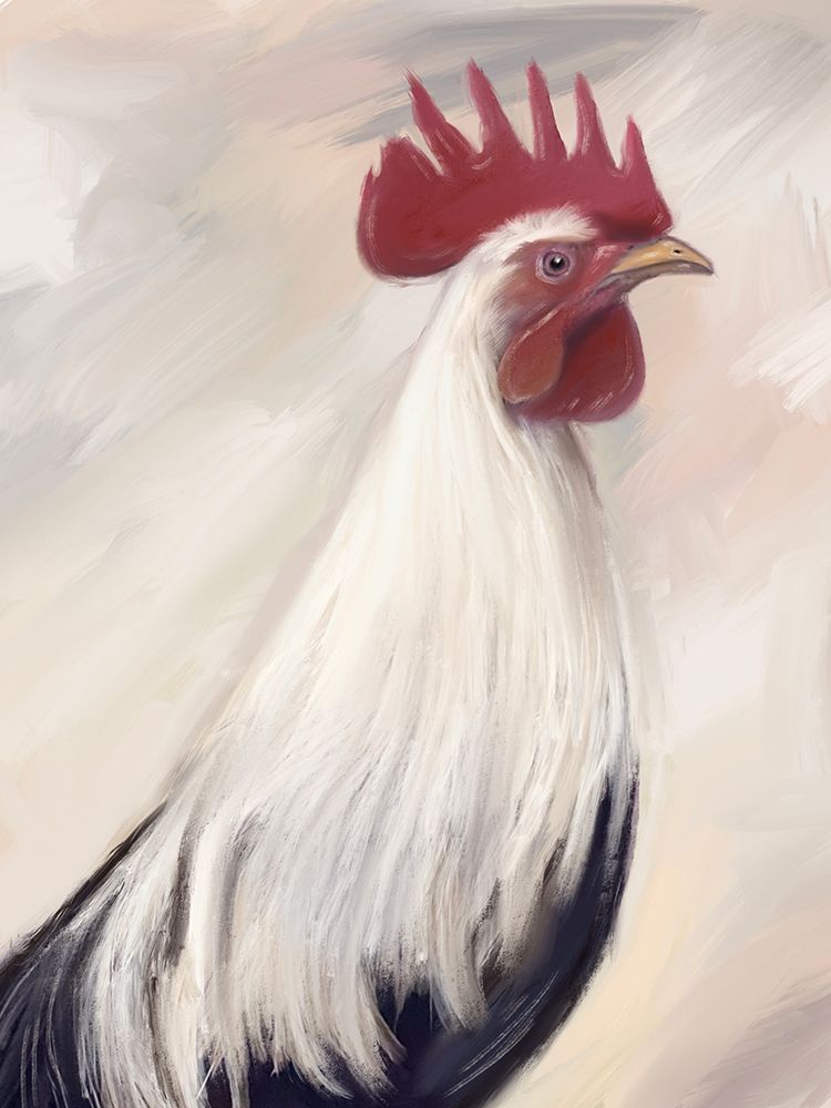 Farm Rooster art print by Matthew Piotrowicz for $57.95 CAD