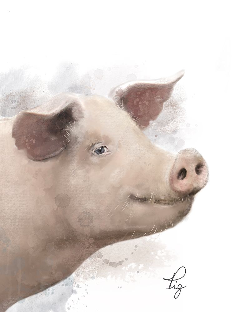 Farm Pig 2 art print by Matthew Piotrowicz for $57.95 CAD
