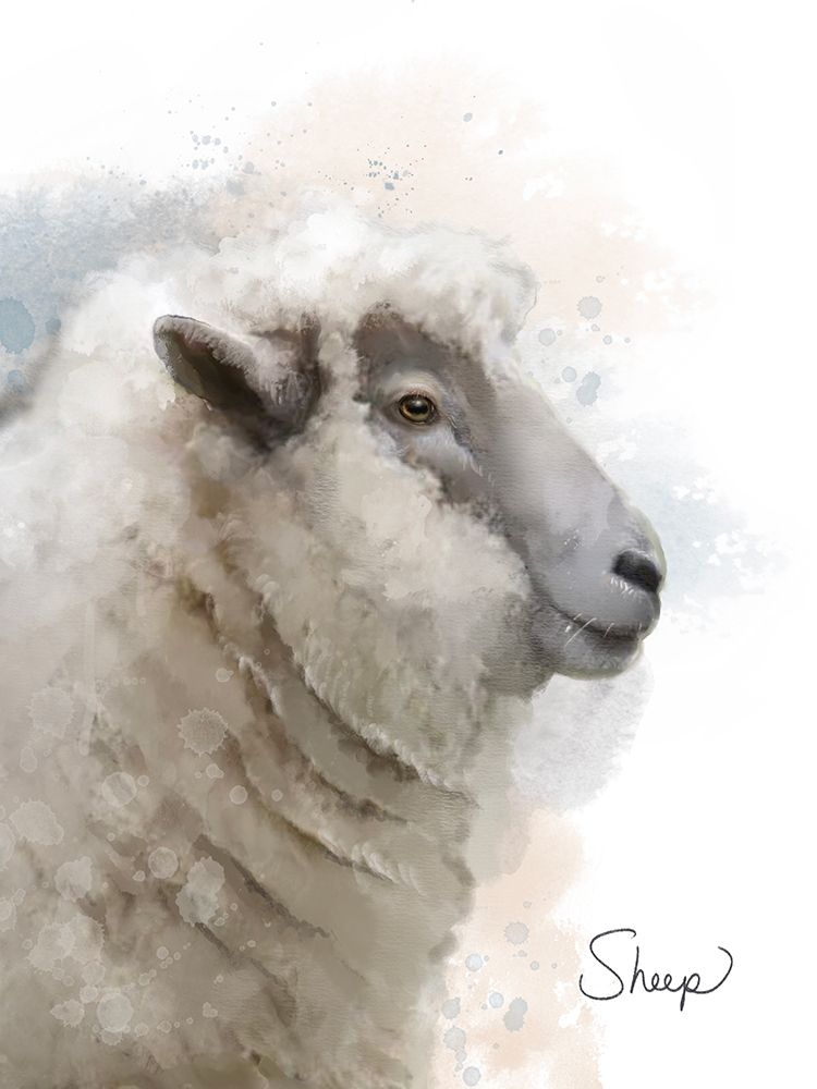 Farm Sheep art print by Matthew Piotrowicz for $57.95 CAD