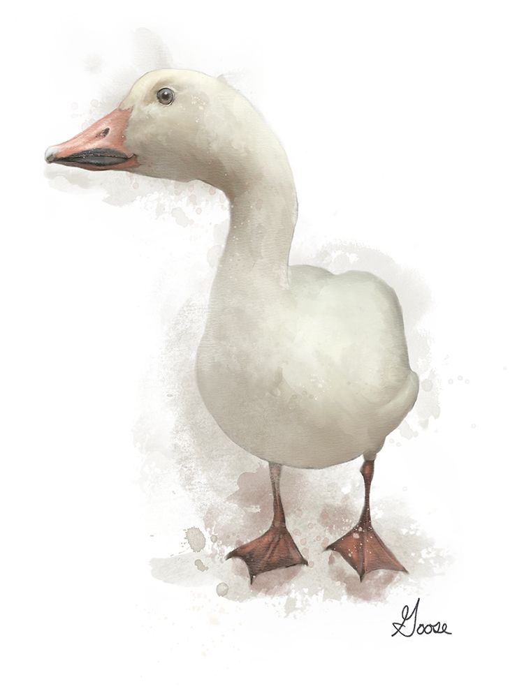 Farm Goose art print by Matthew Piotrowicz for $57.95 CAD