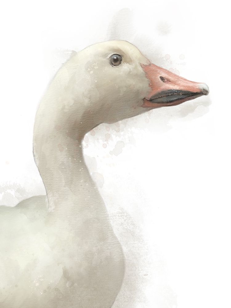 Farm Goose 2 art print by Matthew Piotrowicz for $57.95 CAD
