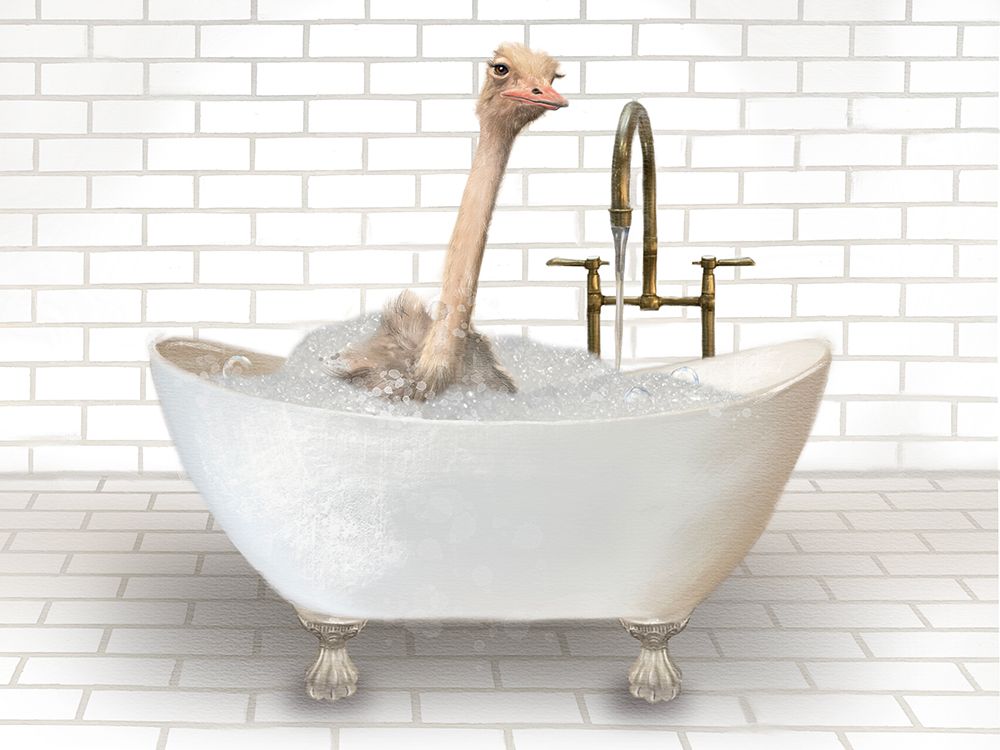 Ostrich In Bathtub art print by Matthew Piotrowicz for $57.95 CAD