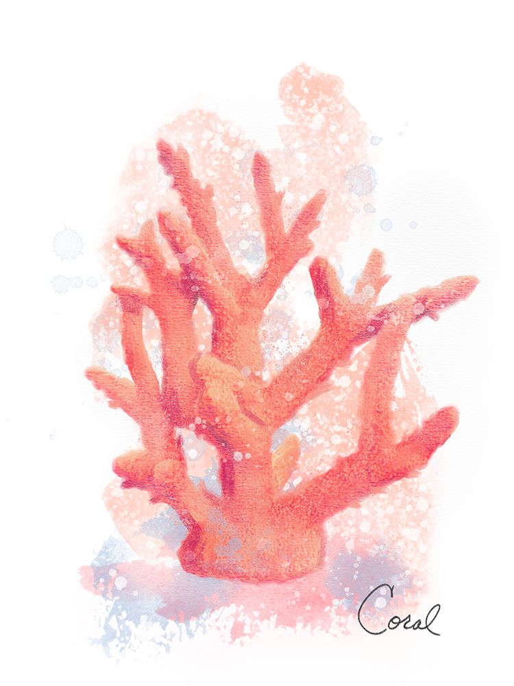 Honeybloom Coastal Coral art print by Matthew Piotrowicz for $57.95 CAD