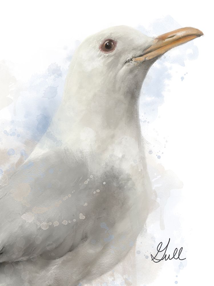 Honeybloom Coastal Seagull art print by Matthew Piotrowicz for $57.95 CAD