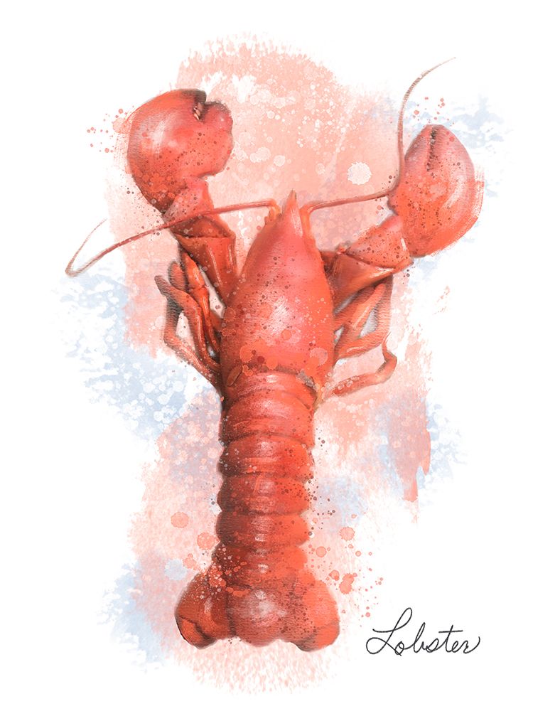 Honeybloom Coastal Seafood Lobster art print by Matthew Piotrowicz for $57.95 CAD