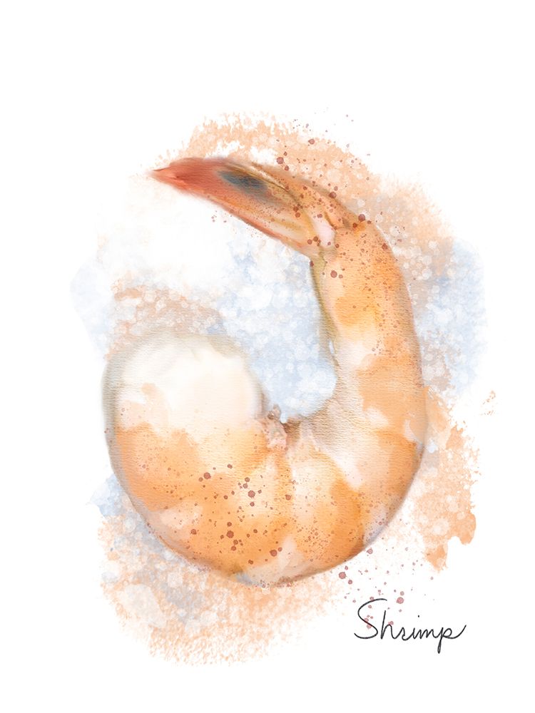 Honeybloom Coastal Seafood Shrimp art print by Matthew Piotrowicz for $57.95 CAD