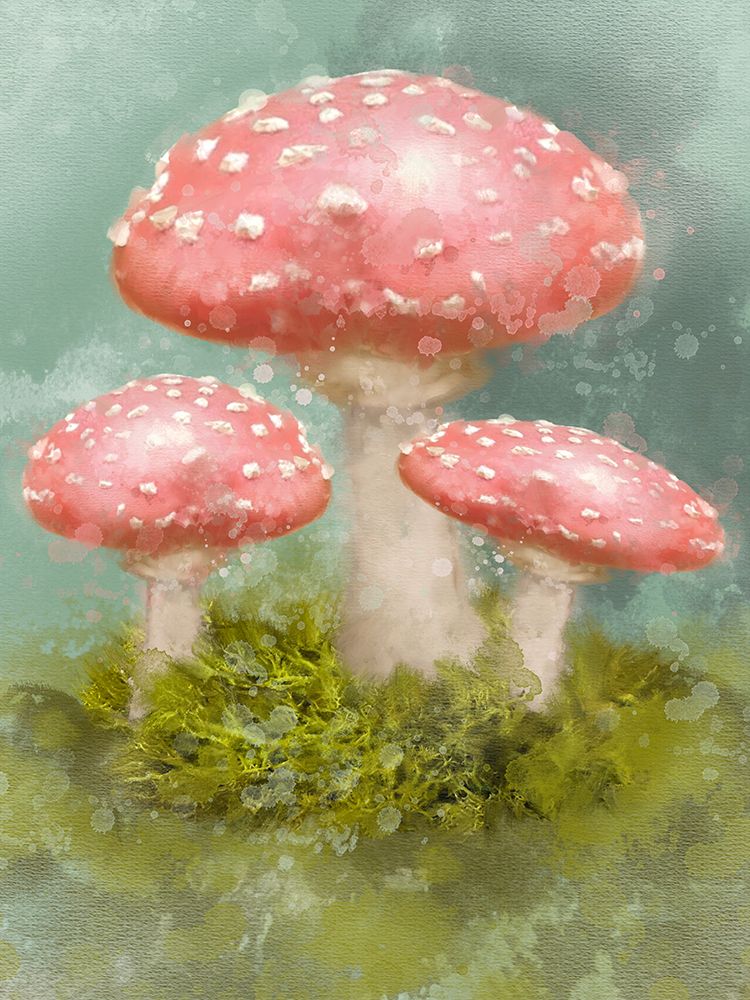 Mushroom Trio art print by Matthew Piotrowicz for $57.95 CAD