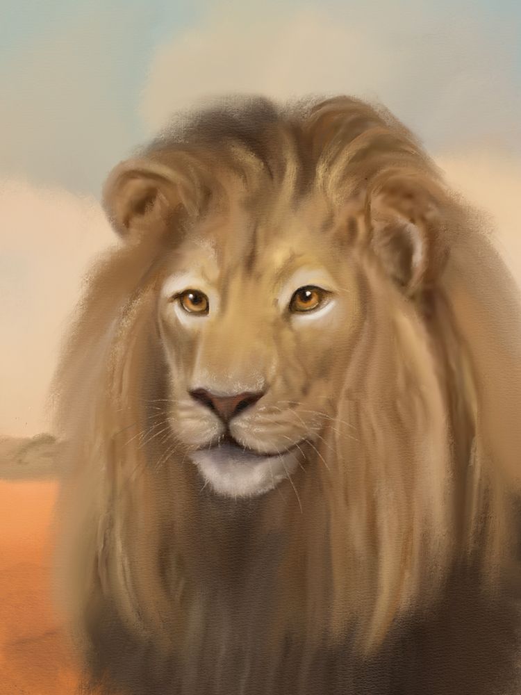 African Animal Lion Landscape art print by Matthew Piotrowicz for $57.95 CAD