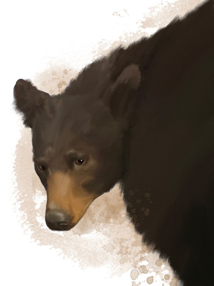 Animal Bear art print by Matthew Piotrowicz for $57.95 CAD