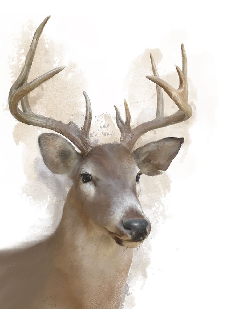 Animal Deer art print by Matthew Piotrowicz for $57.95 CAD