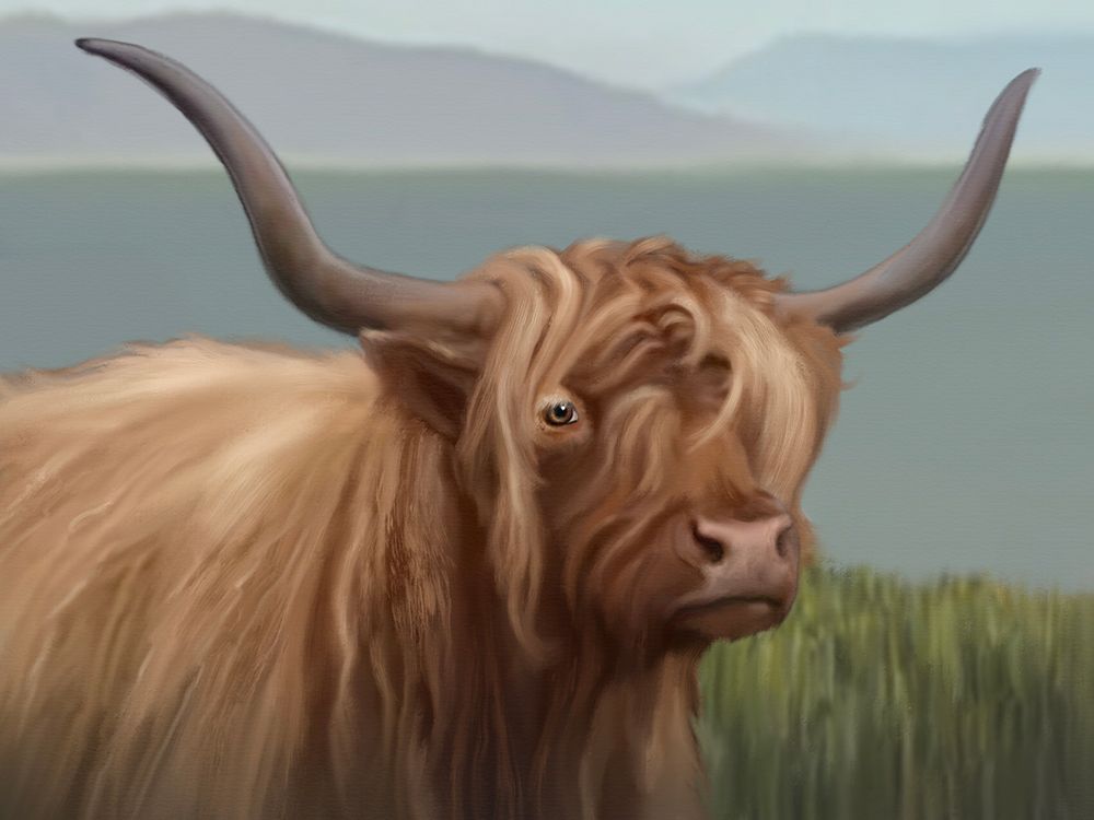 Animal Highland Cow Landscape art print by Matthew Piotrowicz for $57.95 CAD