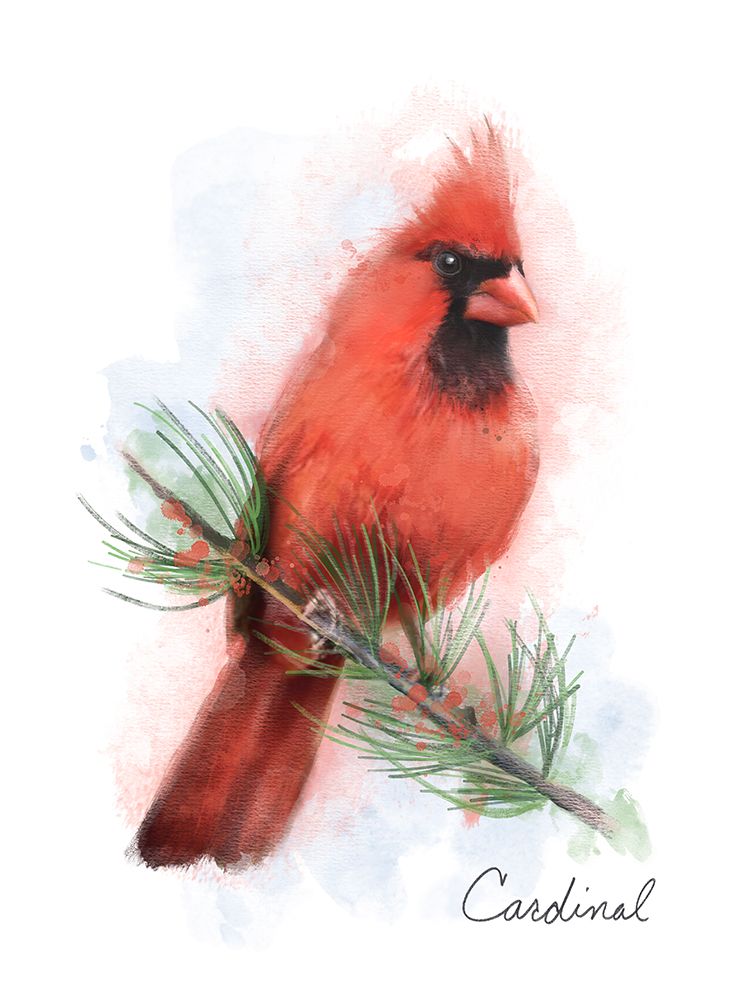 Cardinal art print by Matthew Piotrowicz for $57.95 CAD